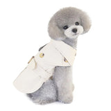 Fashion Jacket for Small Dog