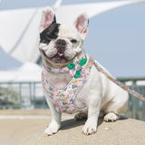 Flower Printed Dog Harness Leash And Collar Set