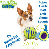 Interactive Dog Toy Chewing Ball for Training Teeth Cleaning Herding Ball