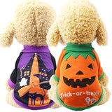 Halloween Outfit For Small Dogs