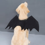 Halloween Black Bat Wings