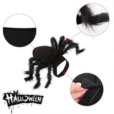 Halloween Spider Cosplay Costume