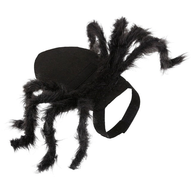 Halloween Spider Cosplay Costume
