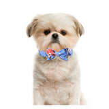 Blue Flower Dog Collar with Bow