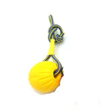 Puppy Training Ball with Rope