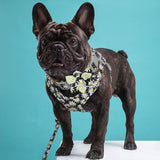 Daisy Flower Dog Harness Leash And Collar Set