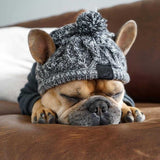 Dog Winter Windproof Hat