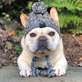 Dog Winter Windproof Hat